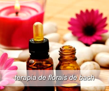 terapia de florais